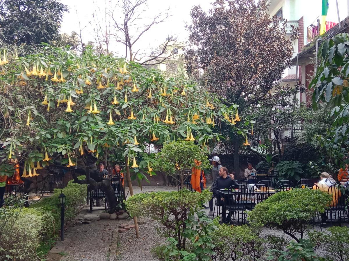 Hotel Lotus Garden Katmandu Eksteriør billede